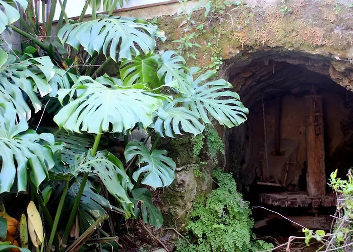 Molino Maroto