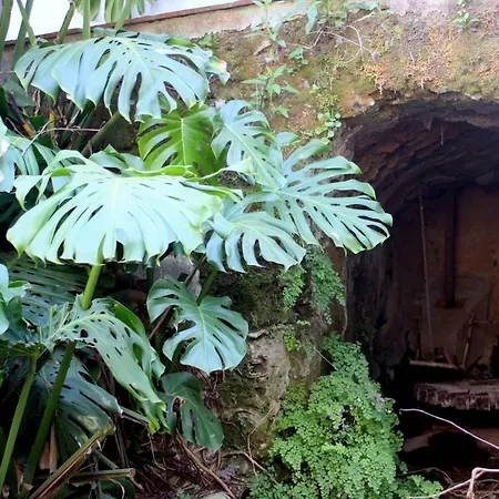 Molino Maroto